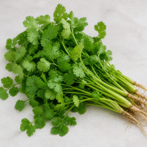 Recipes with Cilantro
