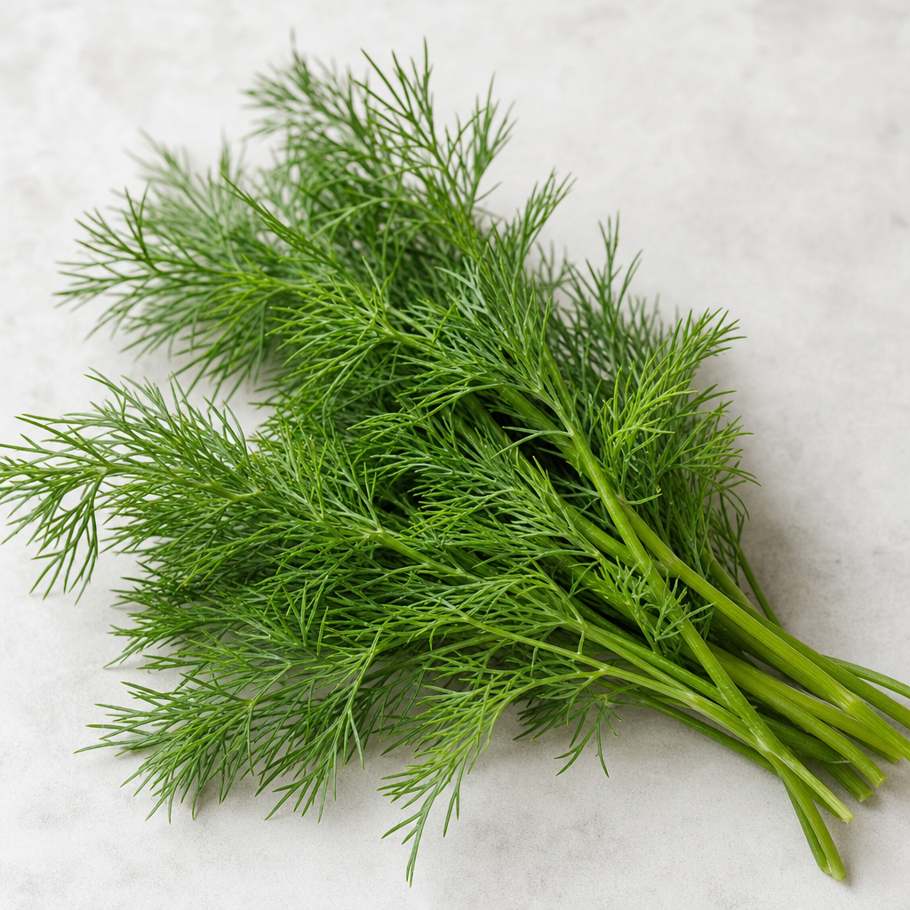 fresh dill